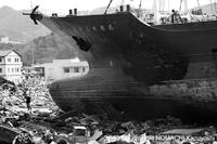 „IKIRU – Post-Tsunami“ Fotoausstellung auf der Photokina