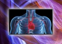 Ideal für anspruchsvolle mobile Anwendungen