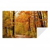 Hochwertiger Digitaldruck mit janmedia.de