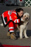 datadirect von dynamischer IT-Fachfrau erfolgreich auf den Hund gebracht
