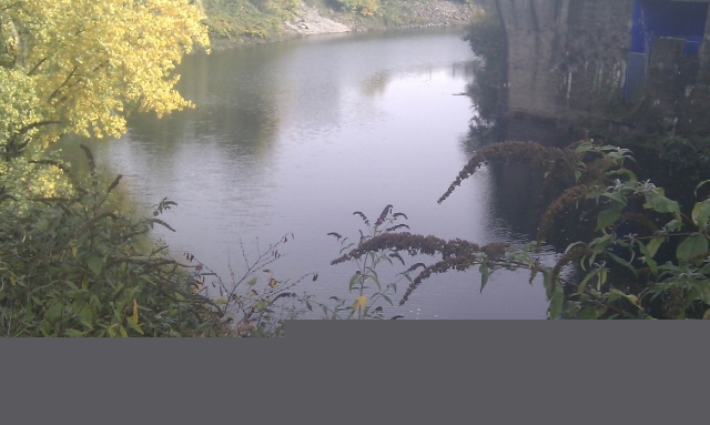 Die letzte Ruhe in einen Fluss oder Bach (Bach- und Flussbestattung)