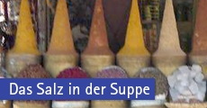 Das Salz in der Suppe