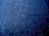 Google, Afilias und Schlund streiten sich um Web-Domains