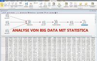 STATISTICA als „Strong Performer“ in Big Data Analysen bewertet
