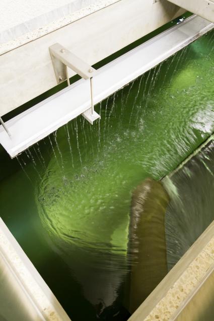 VKU zur geplanten Richtlinieüber die Konzessionsvergabe / EU-Eingriff in Wasserversorgung: VKU warnt eindringlich vor bürgerfernen Plänen aus Brüssel (BILD)