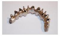 Offen, automatisch, vielseitig: WorkNC Dental