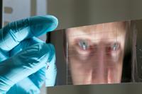 TU Ilmenau: Internationale Glas- und Keramikexperten auf der Suche nach neuen Materialien