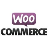 Neue kostenlose Zahlungsschnittstelle für WooCommerce
