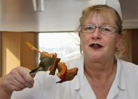 Fleischlos essen schützt das Klima und fördert Gesundheit