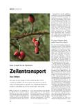 Erfolgreiche Migration von Mainframe Anwendungen
