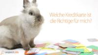 Video-Premiere bei Vergleich.info: Der?Credit Rabbit? ist da!