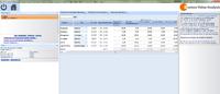 Wertanalyse Software