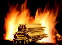 Moderne Flammschutzmittel für Kunststoffe im Haus der Technik Moderne Flammschutzmittel für Kunststoffe im Haus der Technik