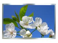 Neues TFT Display 15,4″ mit hoher Helligkeit