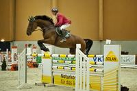 Hochkarätiger Pferdesport auf der PFERD Wels von 9. – 12. Mai 2013