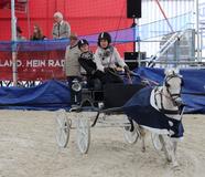 Erfolgreicher Messestart für die PFERD Wels 2013