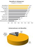 Benefits als Teil des Employer Brandings Benefits als Teil des Employer Brandings