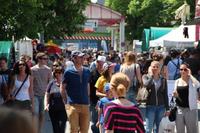 Über 40.000 Besucher auf der PFERD Wels