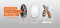 Survival of the fittest: Die Evolution der IT zum dynamischen Arbeitsplatz