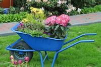 „Offene Pforten“ für Gartenfreunde