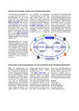 Internet-Technologie erobert die Produktionsbetriebe
