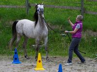 Schnuppertraining für wirksame Führung und Kommunikation