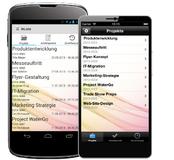 Projektmanagement to go