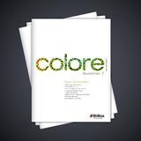 Faszinierende Architekturprojekte: colore Nummer 7