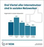 Soziale Netzwerke finden jenseits der 65 großen Anklang