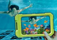 Fische im Siegburger Schwimmbad Oktopus gesichtet!