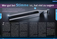 Erfolgsfaktor Stimme – Upd@te über die Kunst des Vortragens