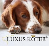 Mit Hunden unter einem Dach zu wohnen, ist ein Stück Lebensgefühl