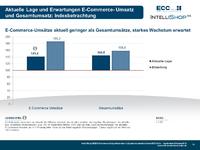 Konjunkturindex-Befragung: B2B Unternehmen erwarten steigende Bedeutung der E-Commerce-Umsätze